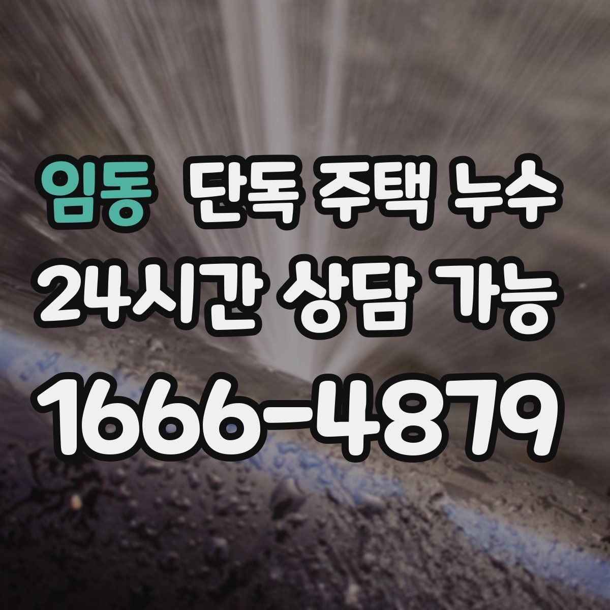 임동 단독 주택 누수 주방 쪽만 젖을 때 배관 가능성