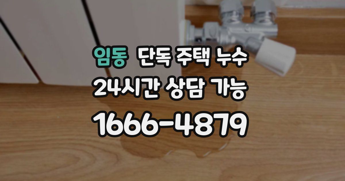 임동 단독 주택 누수