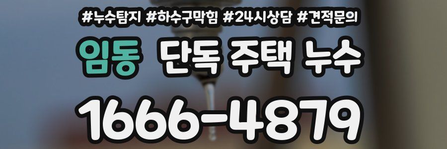 임동 단독 주택 누수