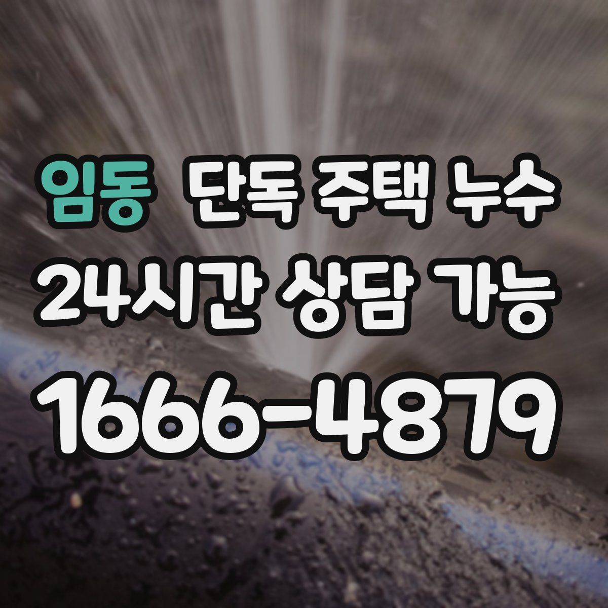 임동 단독 주택 누수