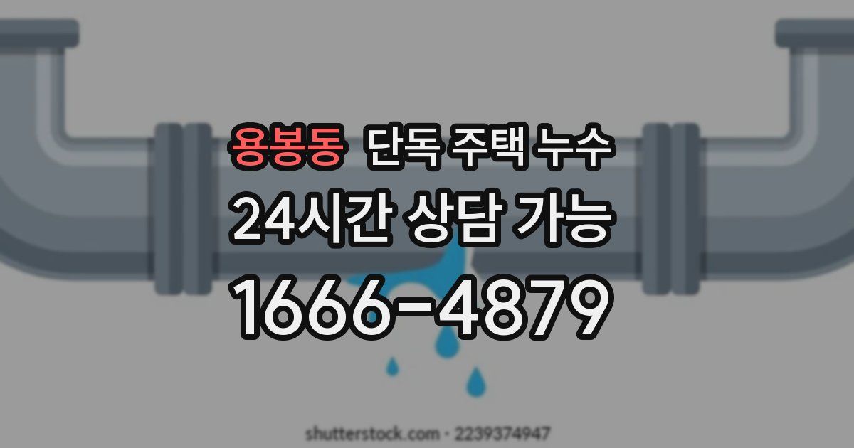 용봉동 단독 주택 누수