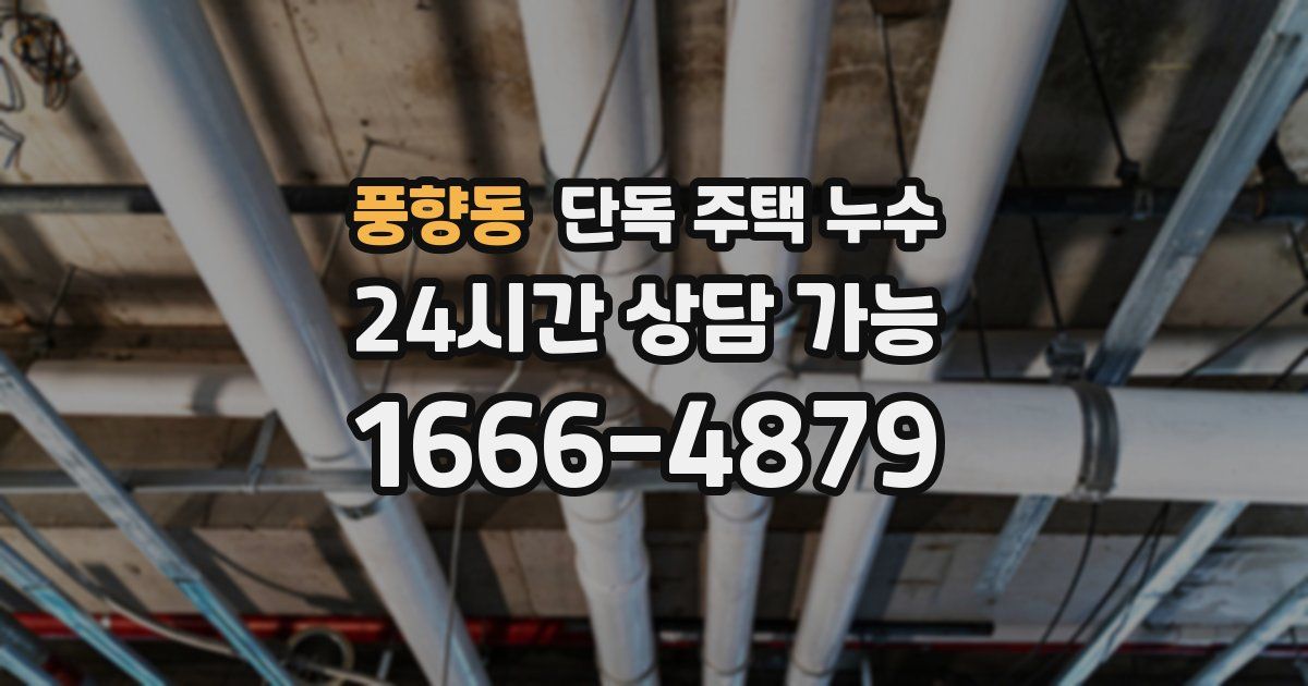 풍향동 단독 주택 누수