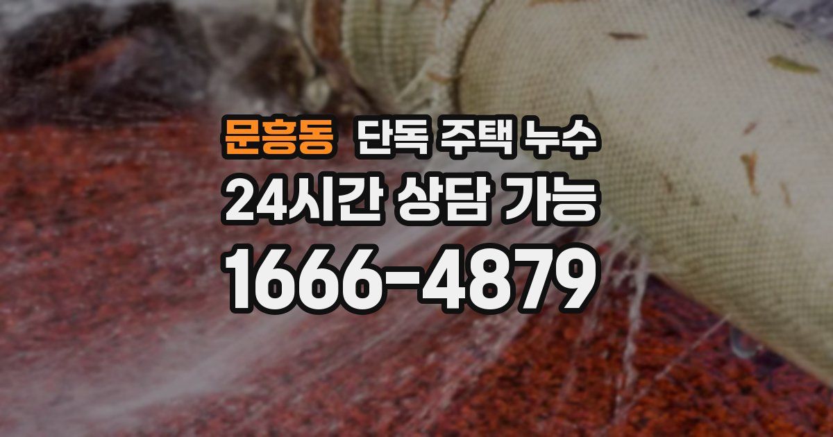 문흥동 단독 주택 누수
