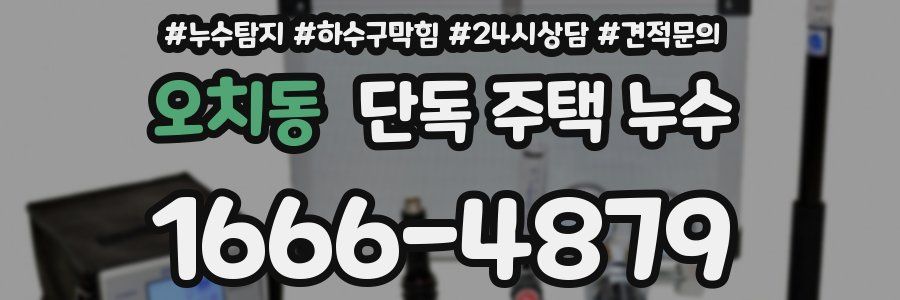 오치동 단독 주택 누수