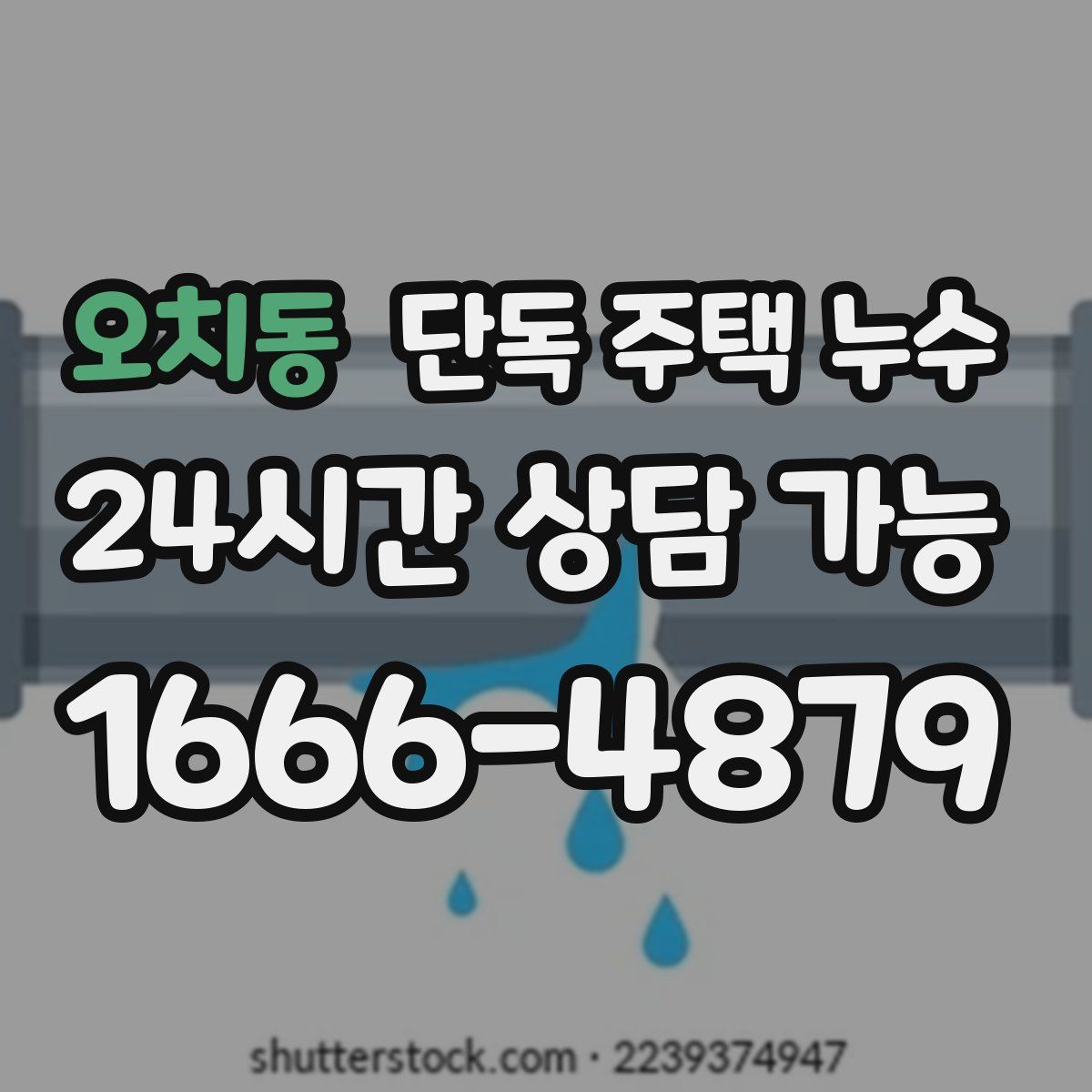 오치동 단독 주택 누수