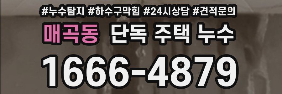 매곡동 단독 주택 누수