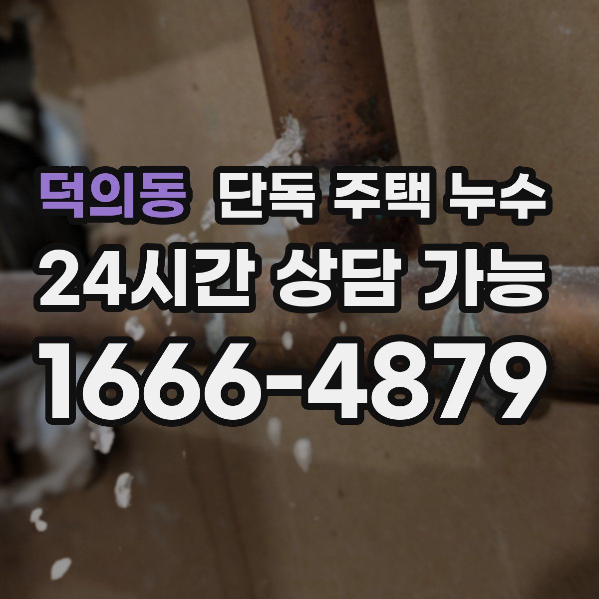 덕의동 단독 주택 누수