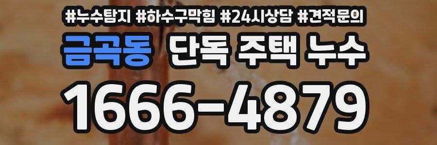 금곡동 단독 주택 누수