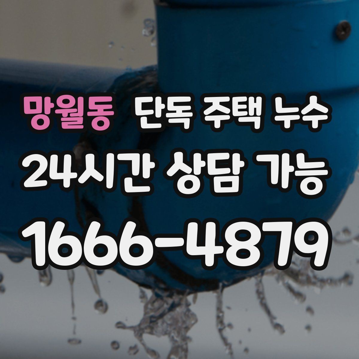 망월동 단독 주택 누수 다용도실 배수 주변 곰팡이 반복될 때