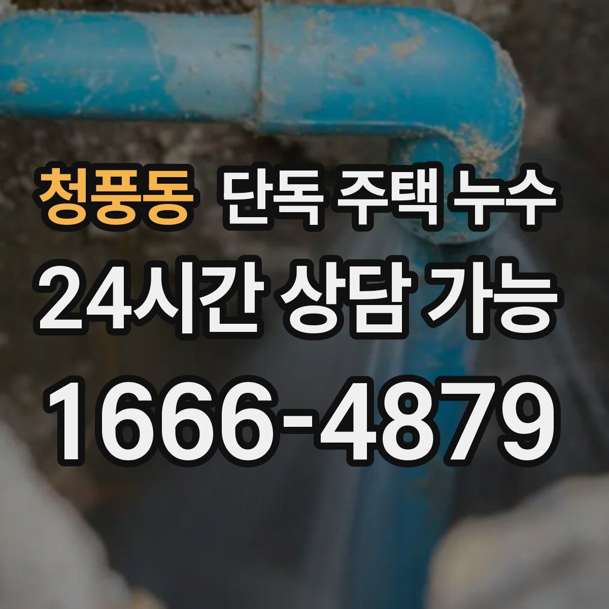 청풍동 단독 주택 누수