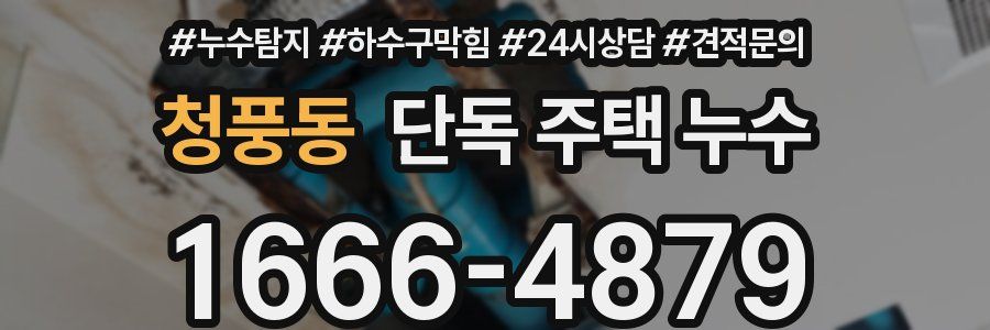 청풍동 단독 주택 누수