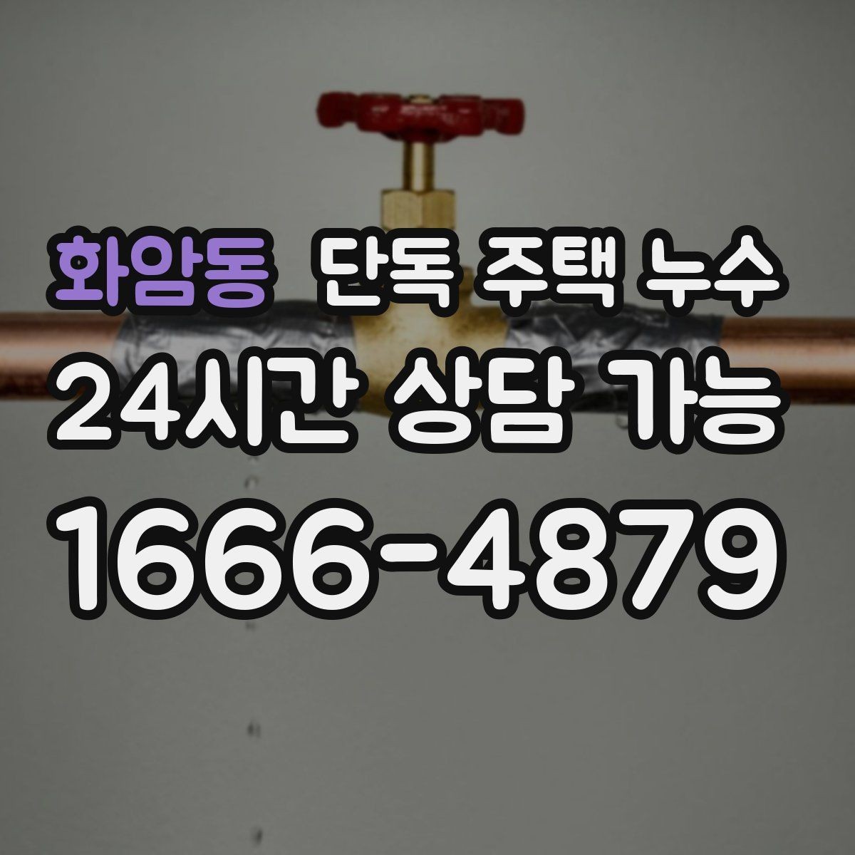 화암동 단독 주택 누수 장판 교체 전에 꼭 점검해야 할 것
