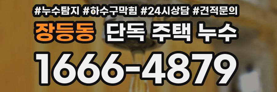 장등동 단독 주택 누수