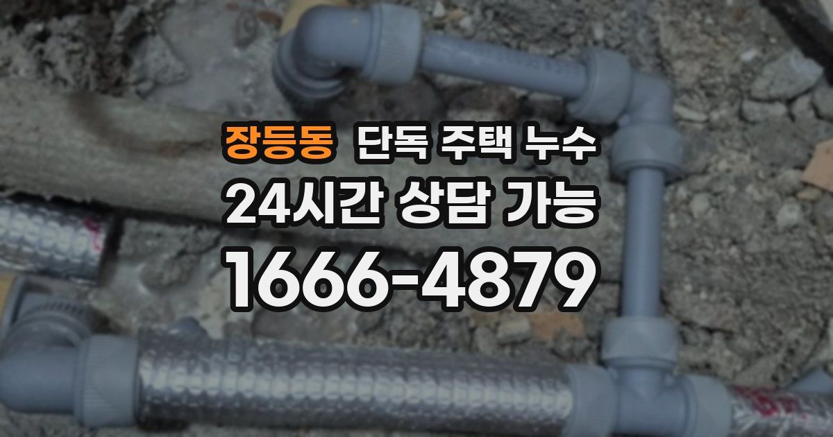 장등동 단독 주택 누수