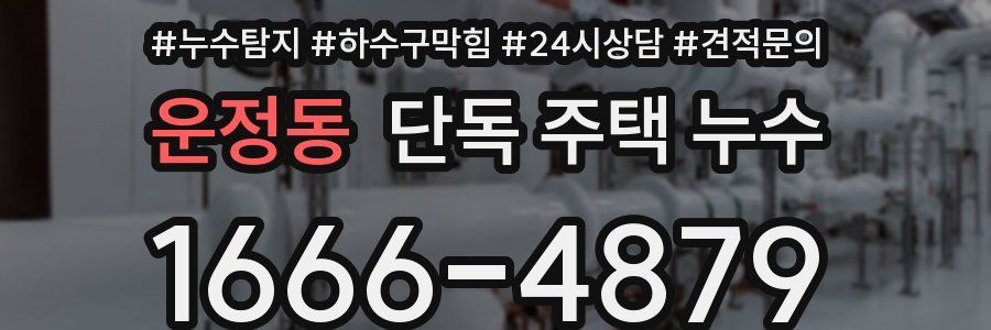 운정동 단독 주택 누수