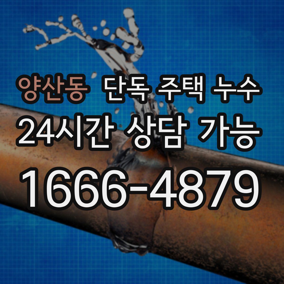 양산동 단독 주택 누수