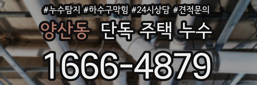 양산동 단독 주택 누수