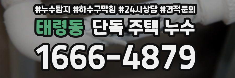 태령동 단독 주택 누수