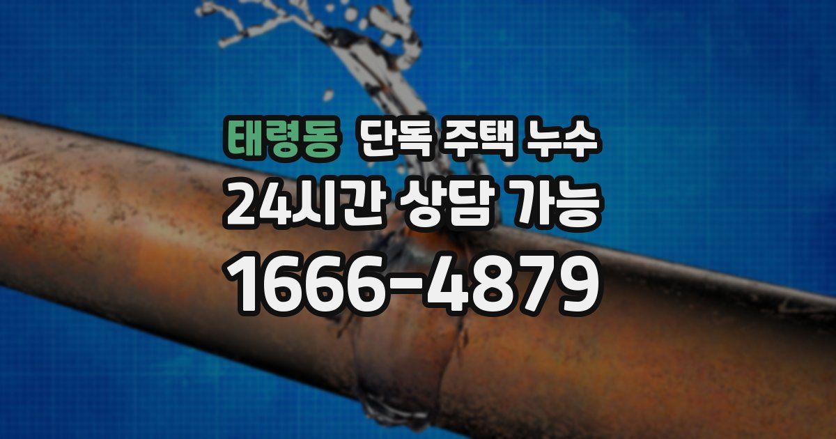 태령동 단독 주택 누수