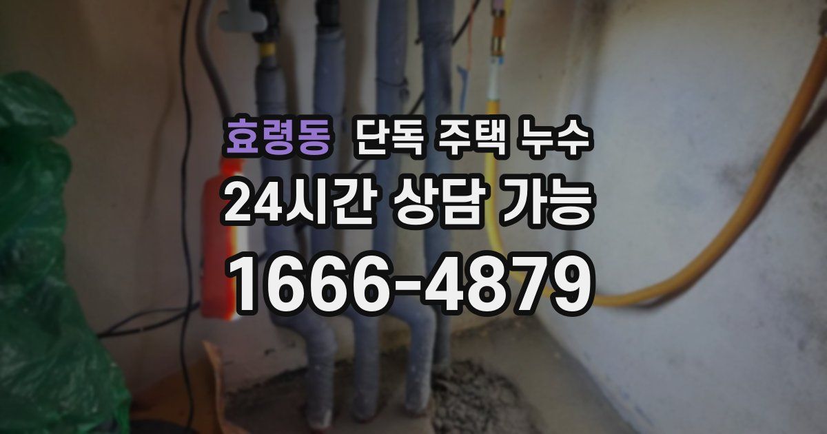 효령동 단독 주택 누수