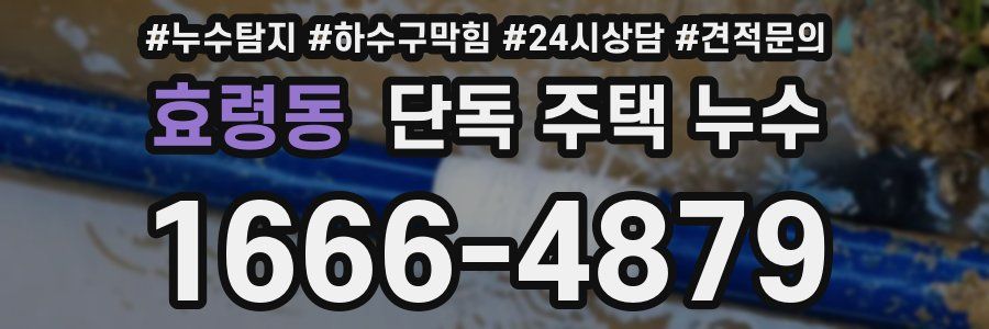 효령동 단독 주택 누수