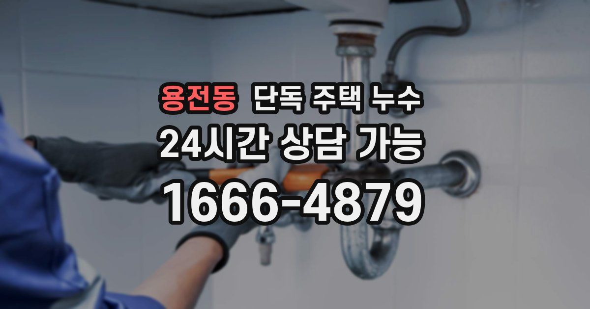 용전동 단독 주택 누수