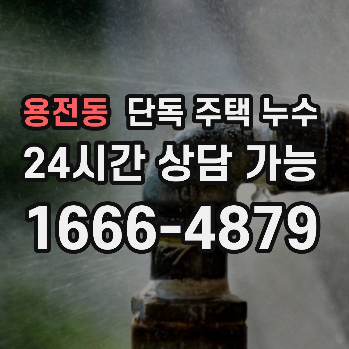 용전동 단독 주택 누수