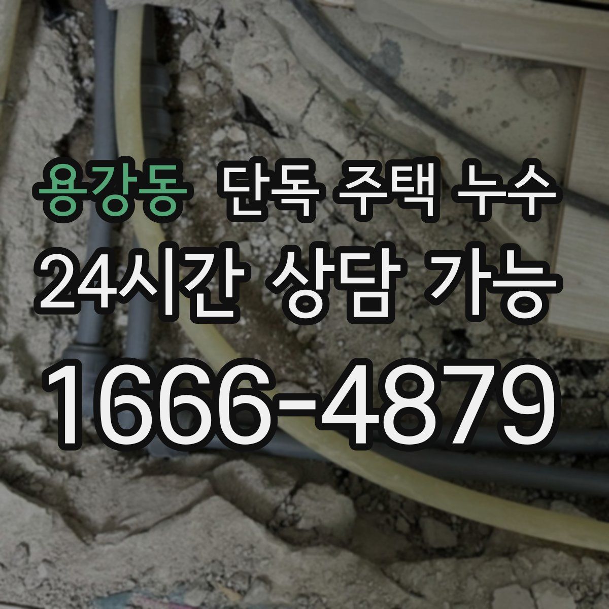 용강동 단독 주택 누수