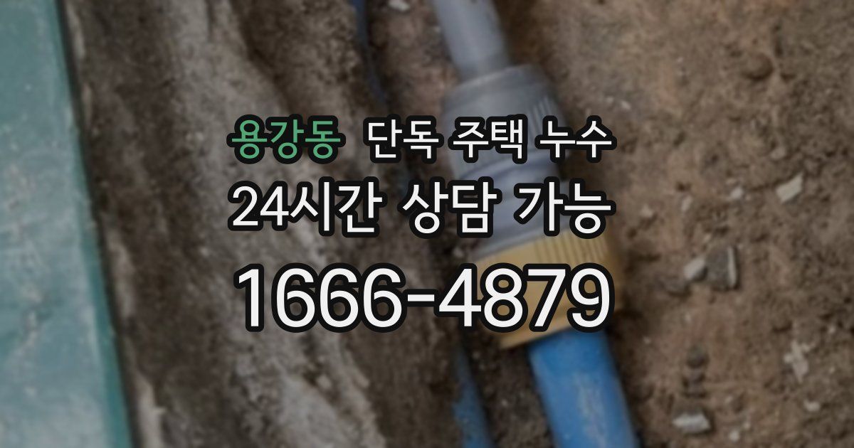 용강동 단독 주택 누수