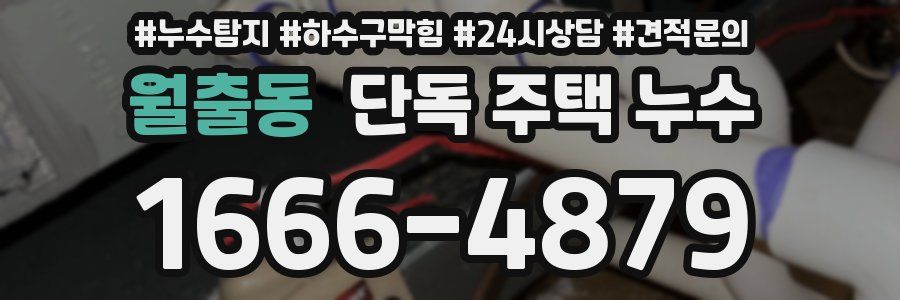 월출동 단독 주택 누수