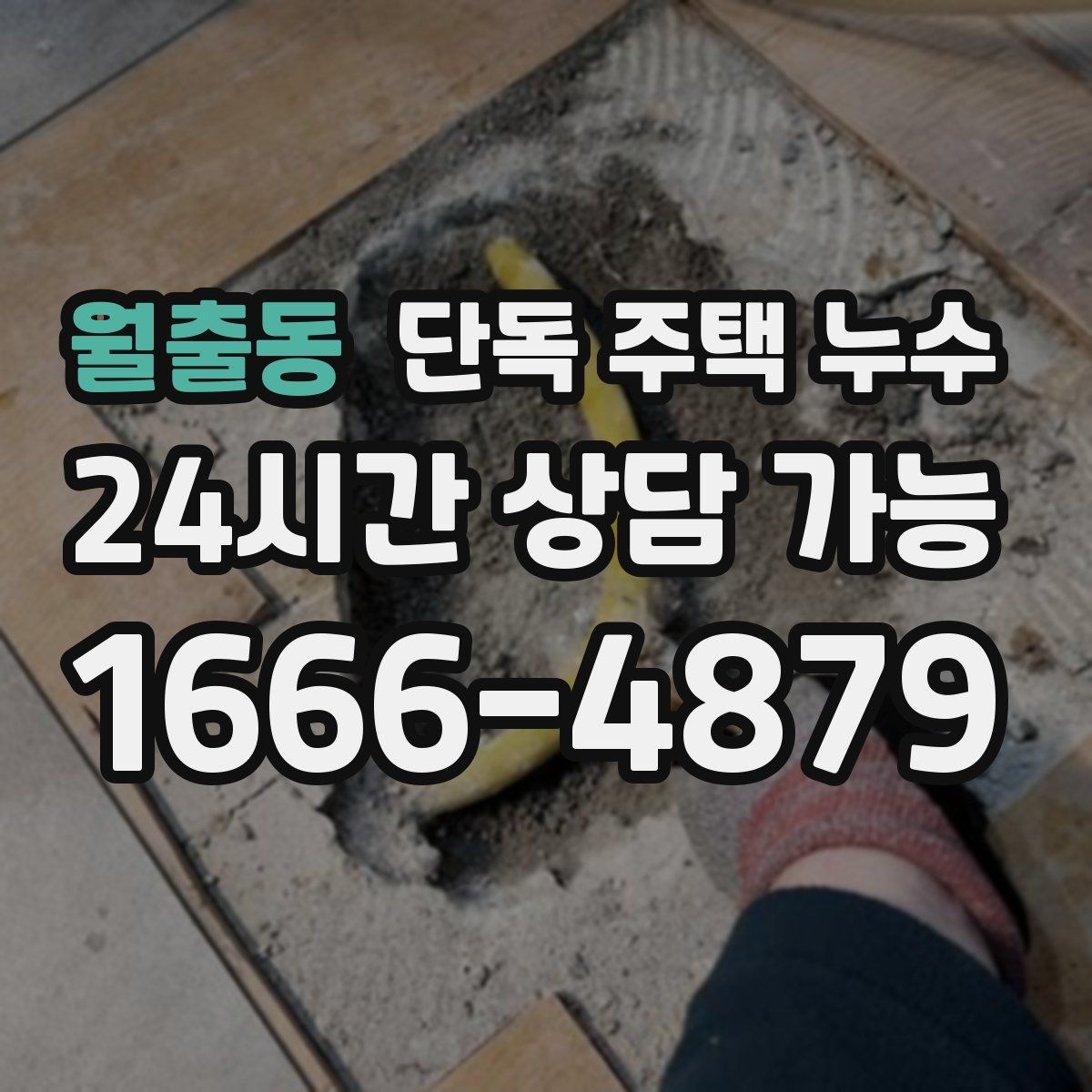 월출동 단독 주택 누수