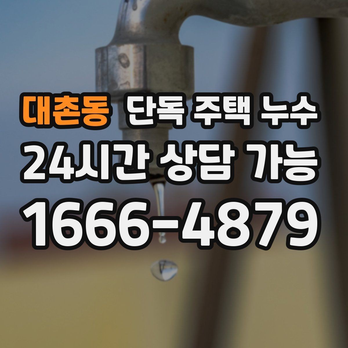 대촌동 단독 주택 누수 곰팡이 제거만으로 해결 안 되는 이유