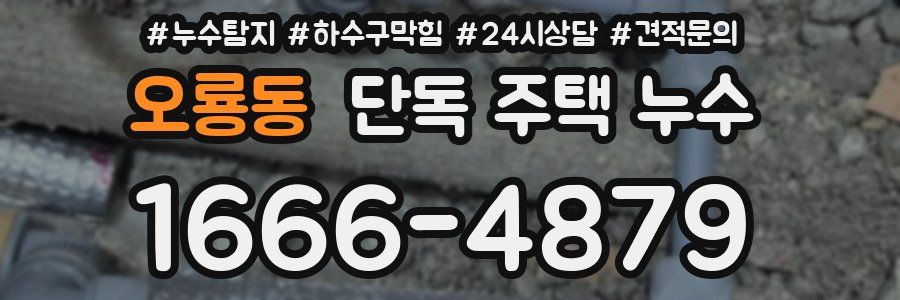 오룡동 단독 주택 누수