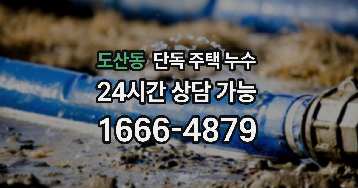도산동 단독 주택 누수