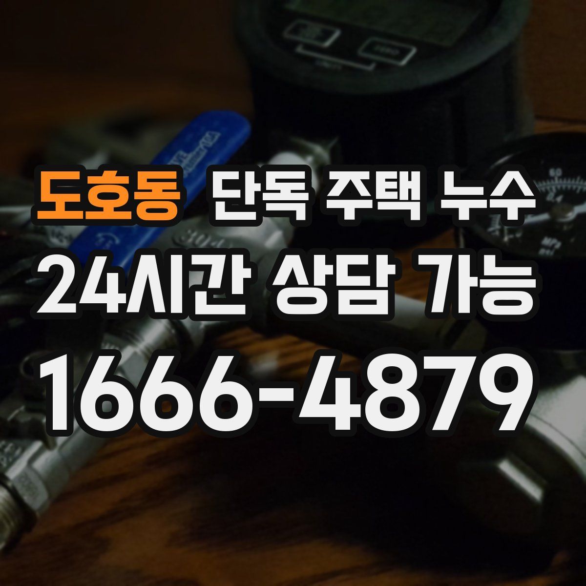 도호동 단독 주택 누수