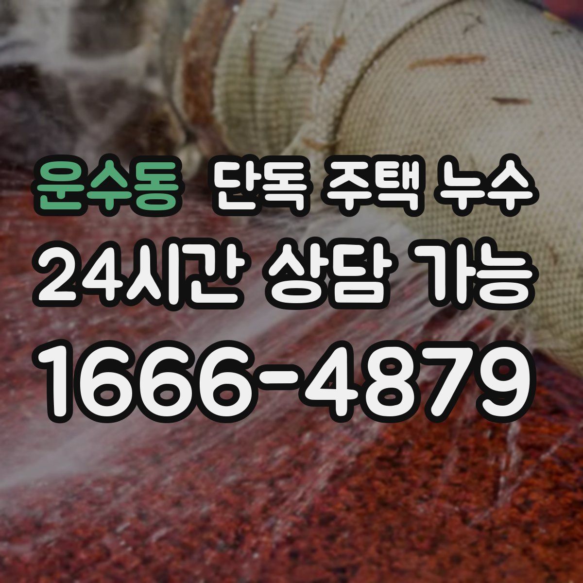 운수동 단독 주택 누수