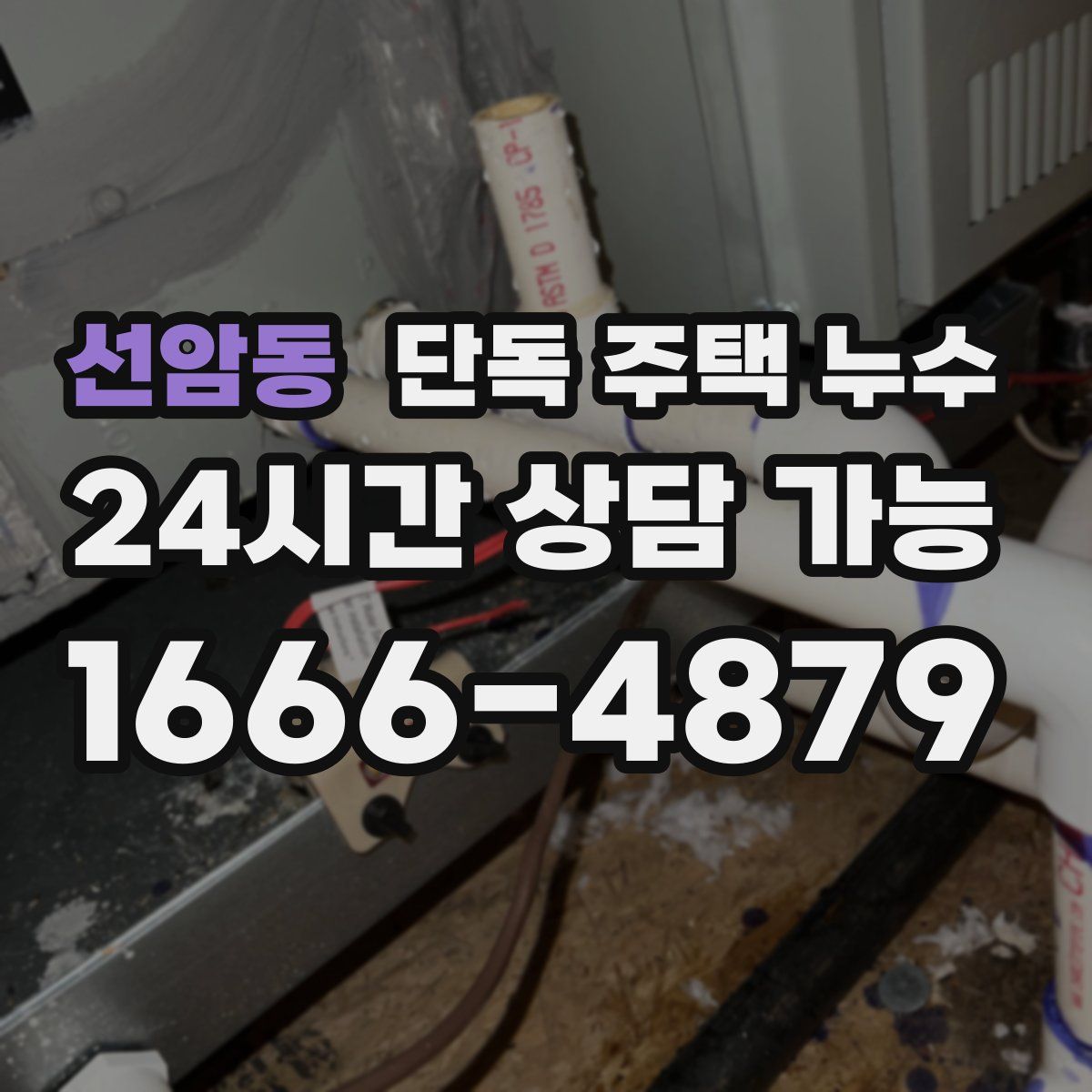 선암동 단독 주택 누수