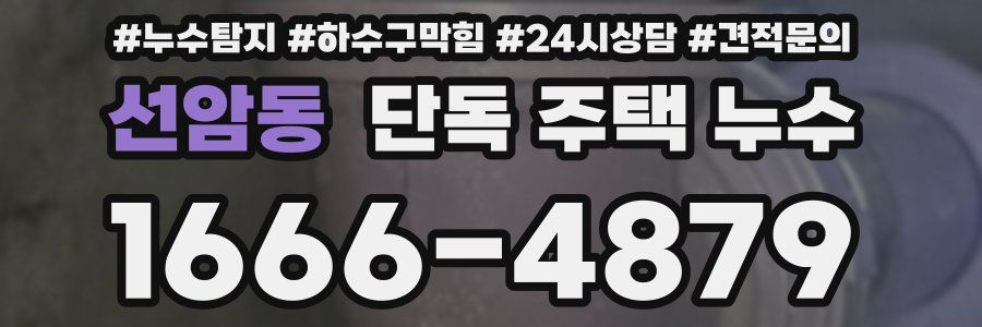 선암동 단독 주택 누수