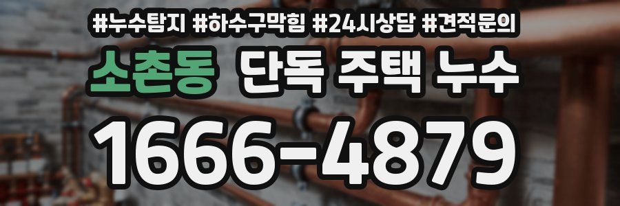 소촌동 단독 주택 누수