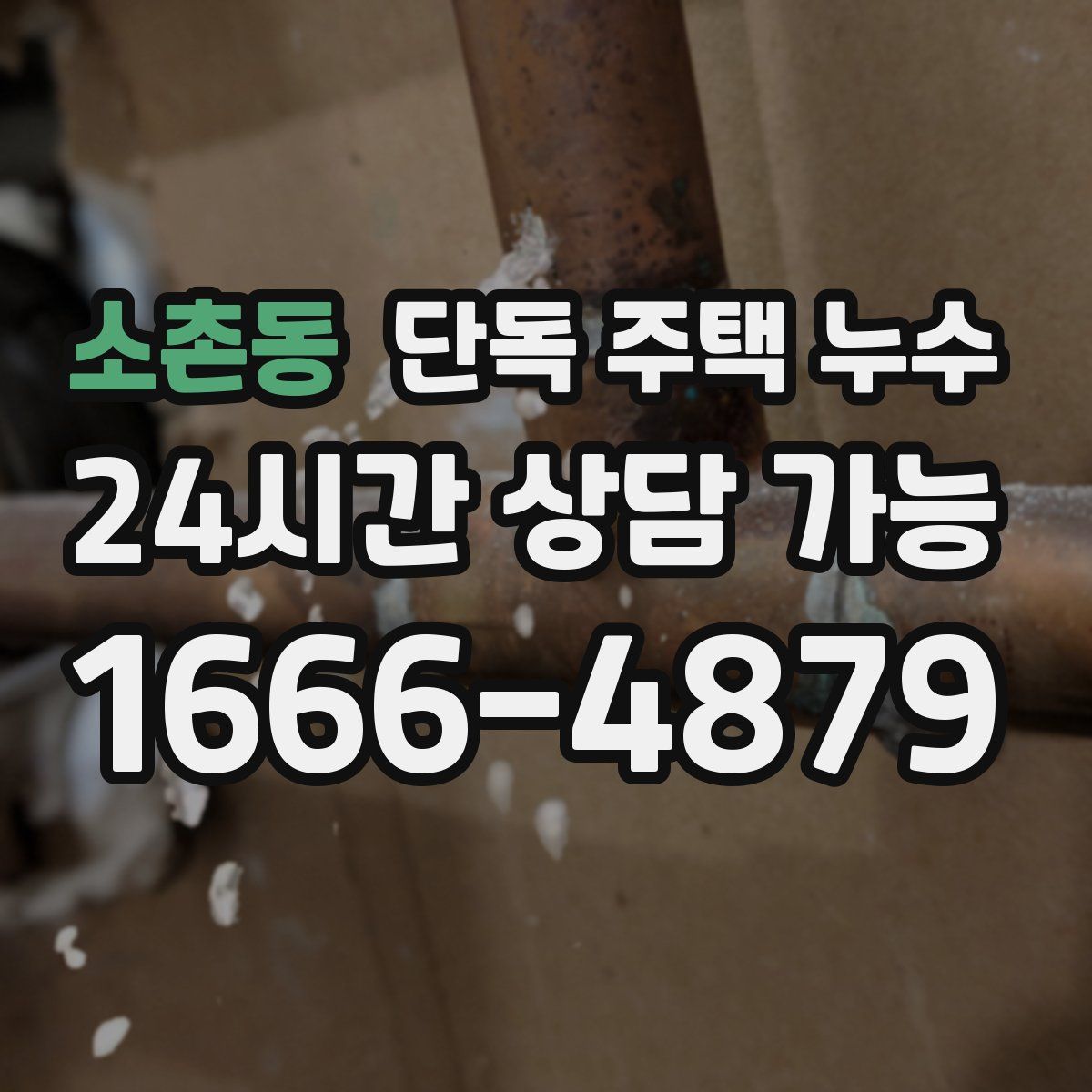 소촌동 단독 주택 누수