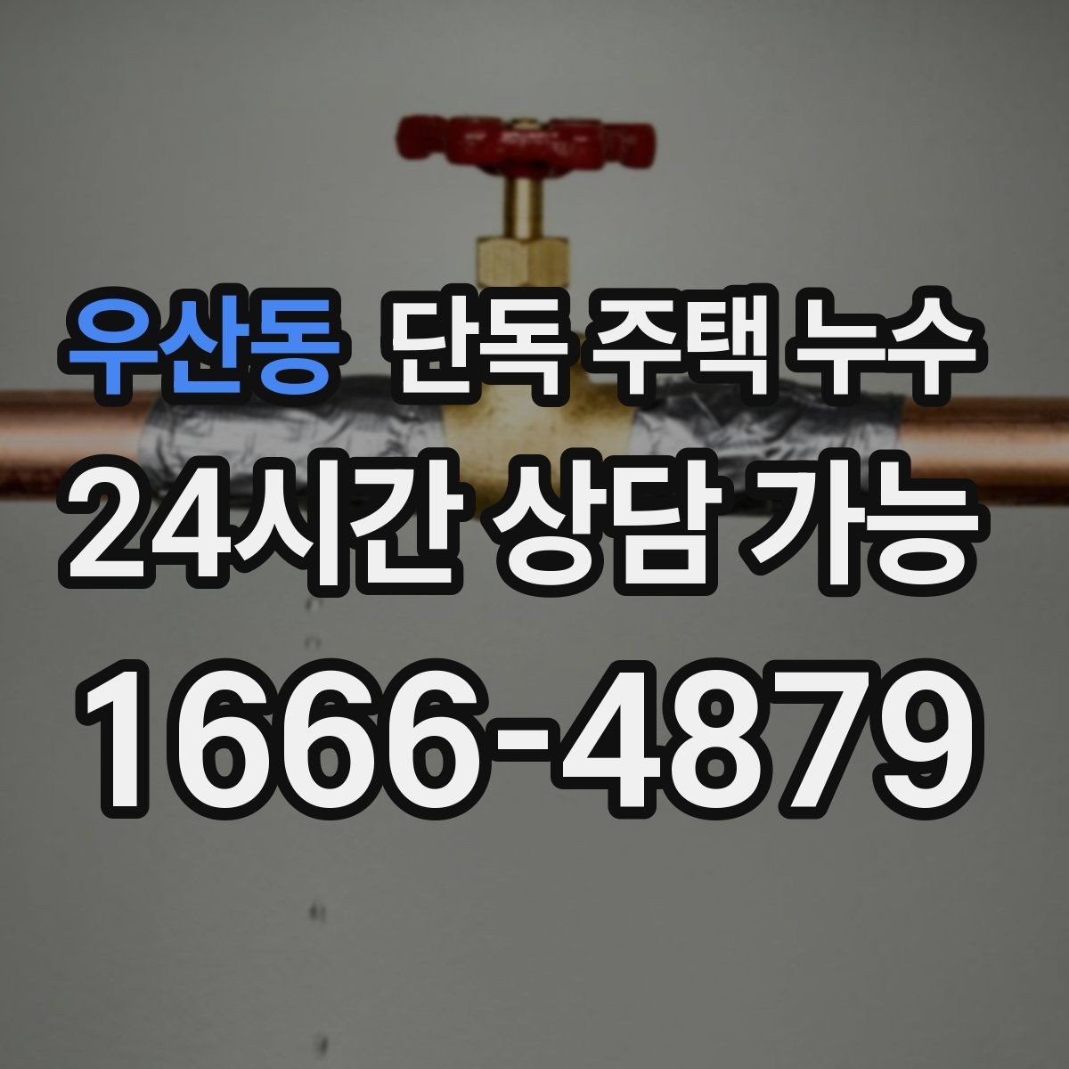 우산동 단독 주택 누수 욕실 문턱 주변 물이 고일 때
