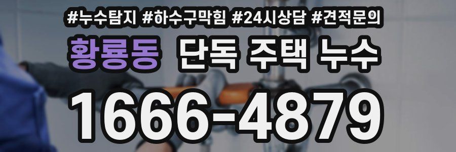 황룡동 단독 주택 누수