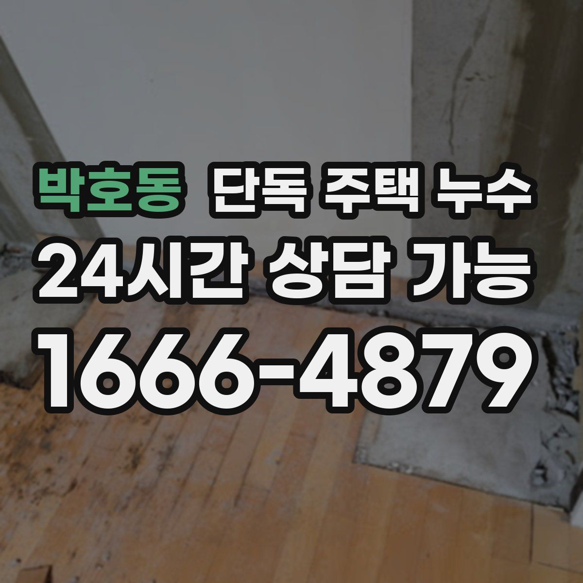 박호동 단독 주택 누수