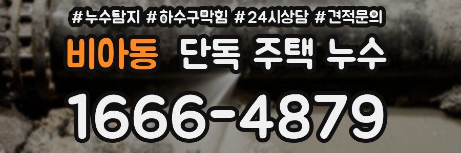 비아동 단독 주택 누수