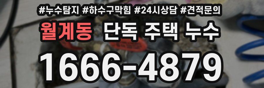 월계동 단독 주택 누수