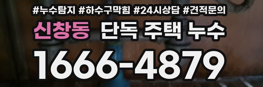 신창동 단독 주택 누수