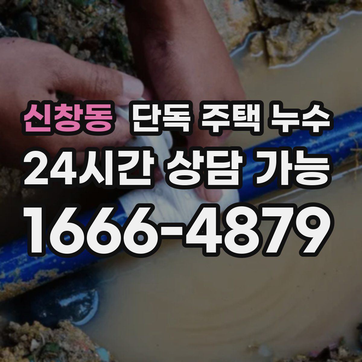 신창동 단독 주택 누수