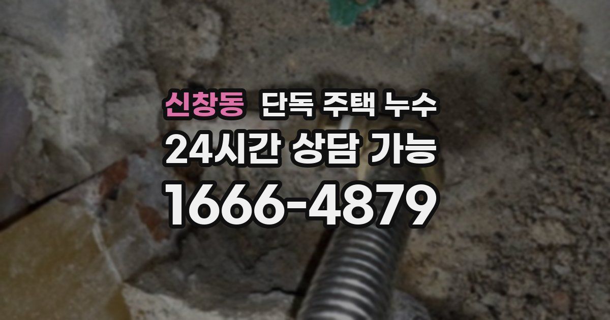신창동 단독 주택 누수