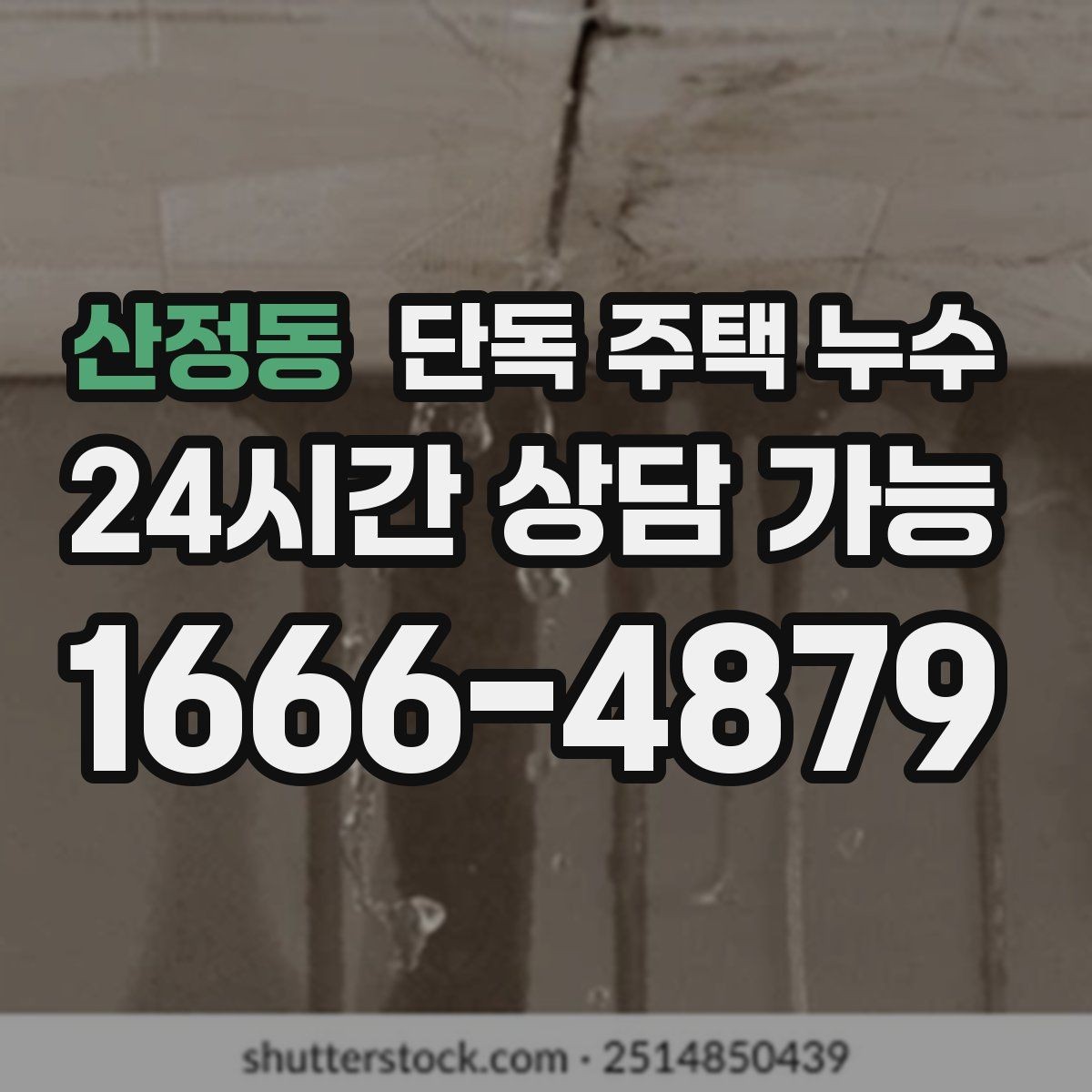 산정동 단독 주택 누수 지붕에서 물 새는 증상 점검 포인트