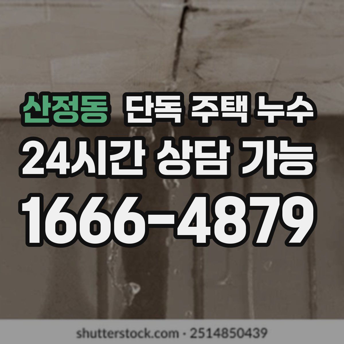 산정동 단독 주택 누수
